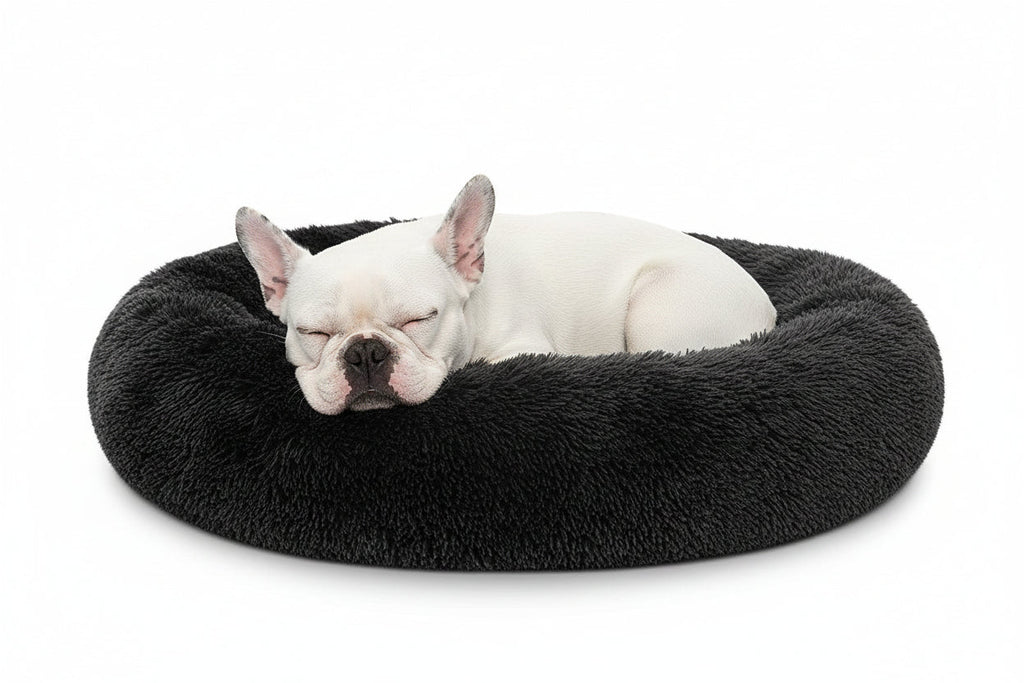 LoyalPup™ Calming Dog Bed for dogs – | LoyalPup Co