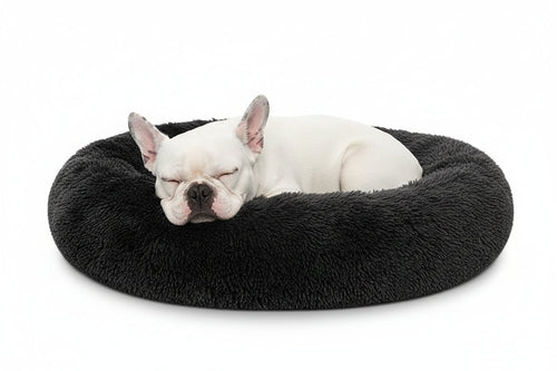 LoyalPup™ Calming Dog Bed for dogs – | LoyalPup Co