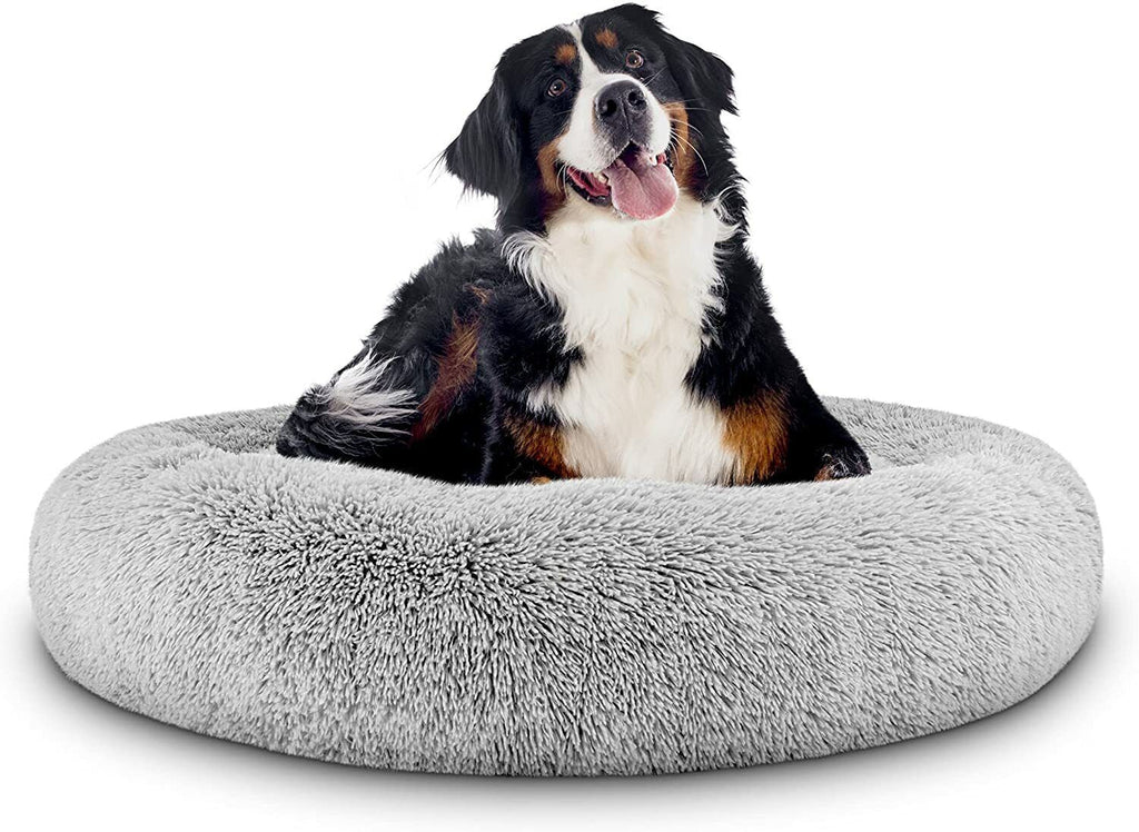 LoyalPup™ Calming Dog Bed for dogs – | LoyalPup Co