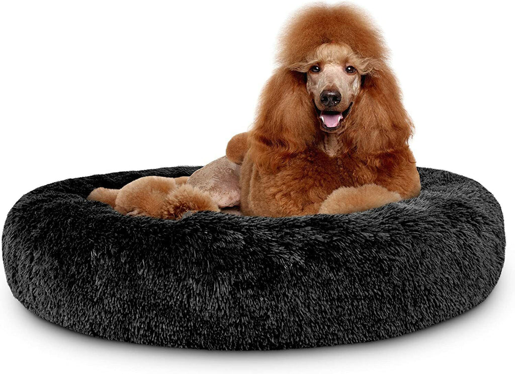 LoyalPup™ Calming Dog Bed for dogs – | LoyalPup Co