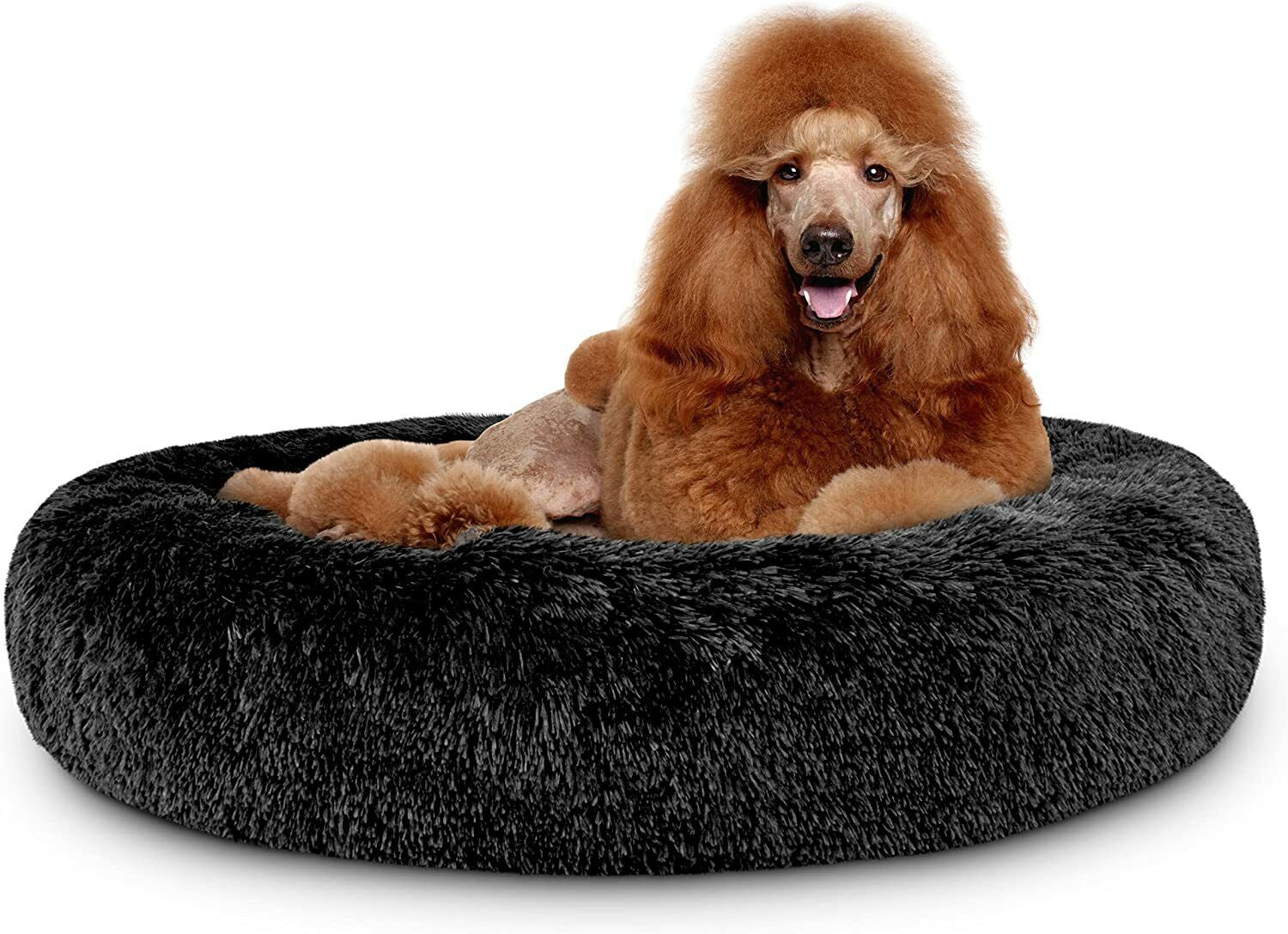 LoyalPup™ Calming Dog Bed for dogs – | LoyalPup Co